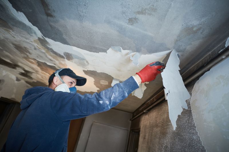 Ceiling Restoration Experts